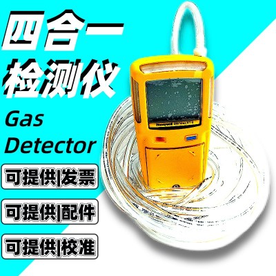 BW MAXXTII T2G 4E8内置泵吸式气体检测仪