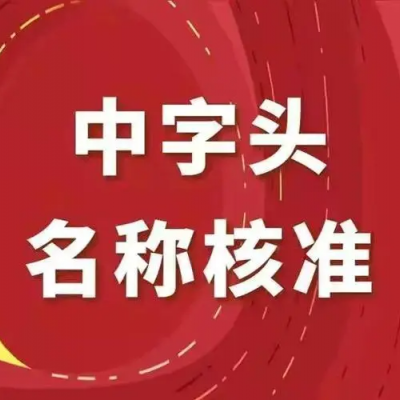 代理建设建筑工程公司申请无区域核名