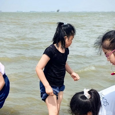 苏州中小学生小小渔夫暑假夏令营户外沙滩赶海活动体验营报名中