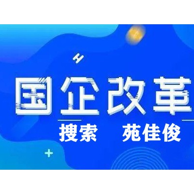 国有控股企业混合所有制改革