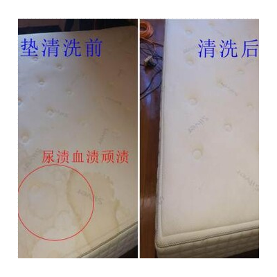 广州体育西路除螨公司，专业上门除螨虫，清洗床垫沙发服务