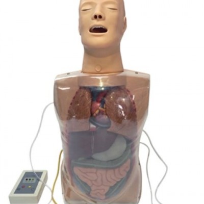 益联医学三腔二囊管训练模型 护理学教学模型护士培养