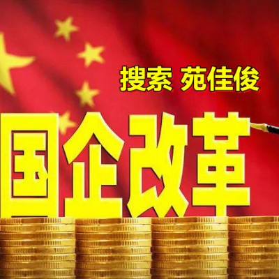 民企参与国企混改操作流程要求和作用