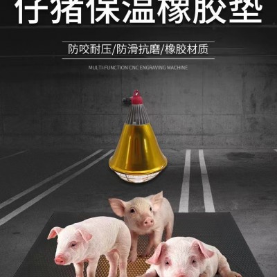仔猪电热板不仅能提高仔猪成活率及断奶的整齐度