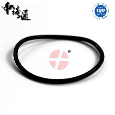 O型圈耐腐蚀60*2.55