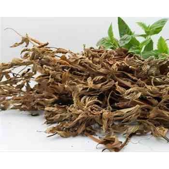 操作代理凉粉草清关报关