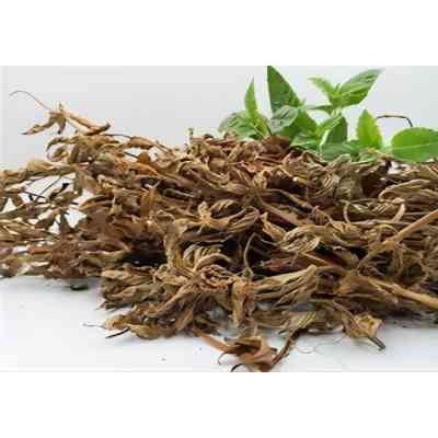 操作代理凉粉草清关报关
