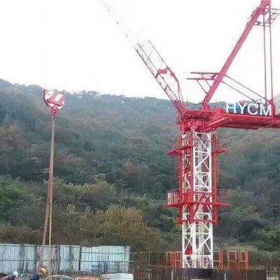 和田大型建筑设备QTZ80塔吊臂长60米平头塔机在洛浦县施工