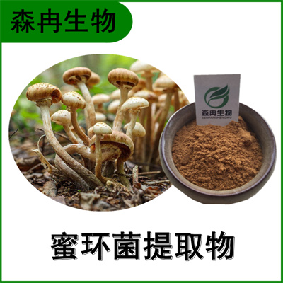 森冉生物 蜜环菌提取物 蜜环菌多糖 榛蘑提取物 原料粉