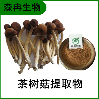 森冉生物 茶树菇提取物 茶树菇多糖 杨树菇提取物