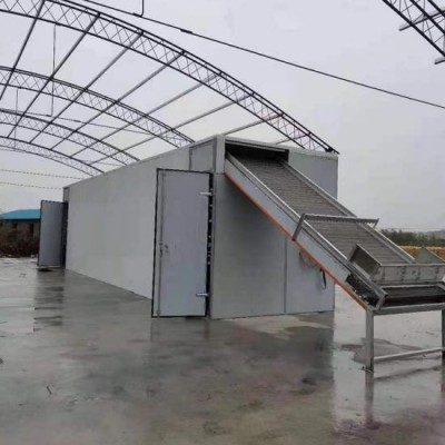 适用大批量生产带式粮食烘干机缩短烘干周期