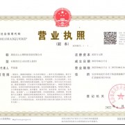 湖南灵心心理科技发展有限公司