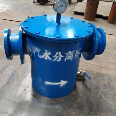 旋风式汽水分离器 适配不同流量需求 DN300蒸汽管道用