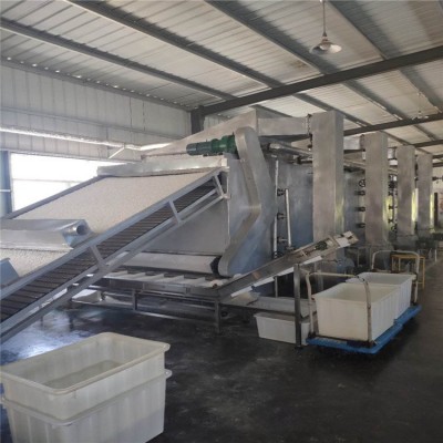 连续作业模式带式食品烘干机支持大批量生产