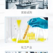 佛山市诺银贵金属材料有限公司