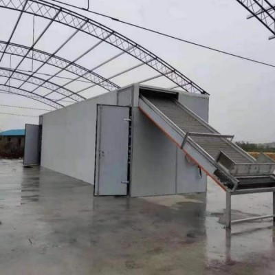 自动进出料集成减少人工环节带式粮食烘干机