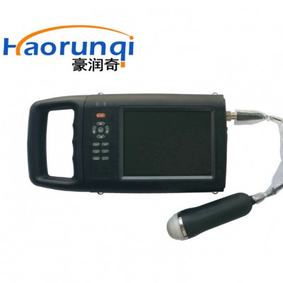 奶牛乳腺炎检测仪兽用B超DL-S20