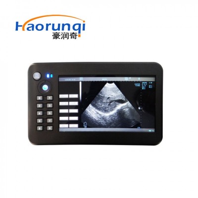 锂电子可充电B超兽用B超DL-S9