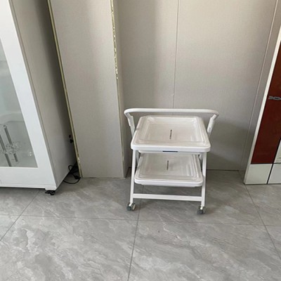 高分子内镜转运车