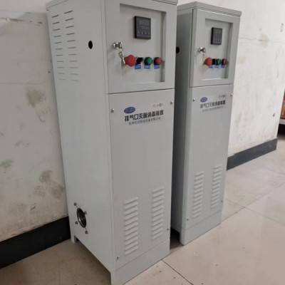 真空泵排气口灭菌箱 排气口灭菌器排气口除菌器