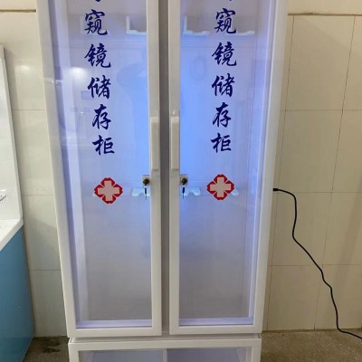 有机内窥镜双门储存柜 胃肠镜双门柜 紫外线消毒